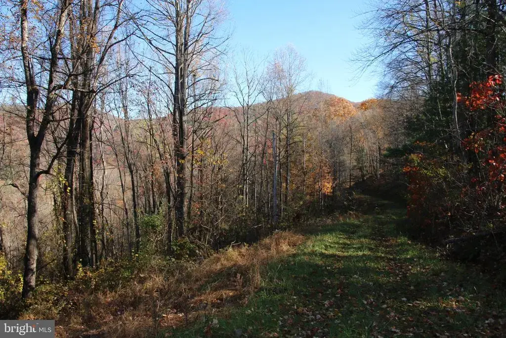 00 Overlook Mountain Rd, ELKTON