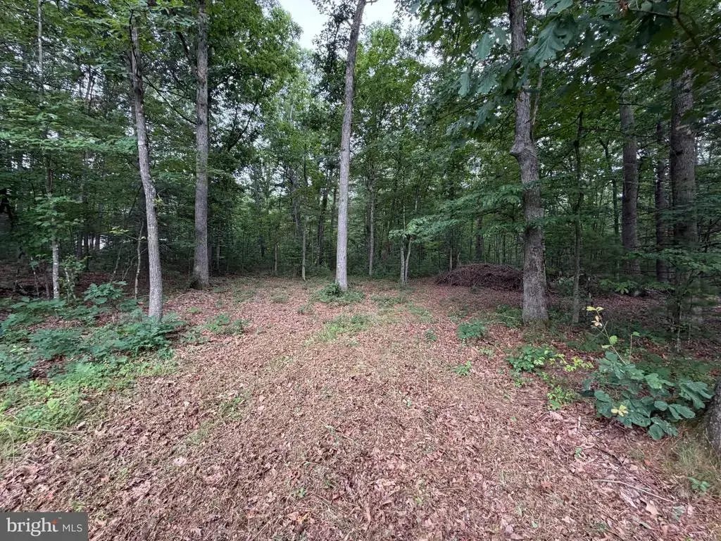 Lot 8 2ac Grizzly Rd, MATHIAS