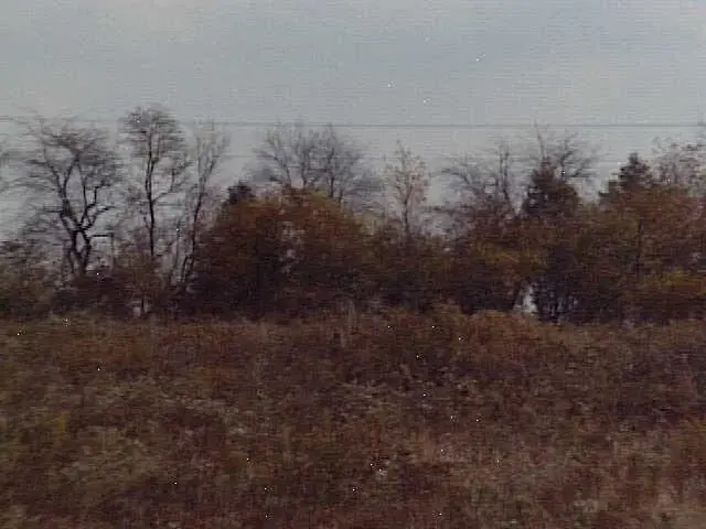 Wren Rd, Thomasville