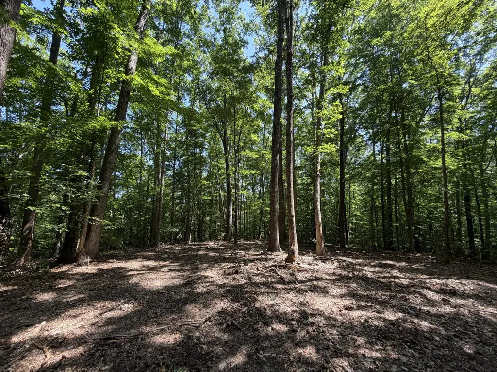 Lot 4a Parrish Rd, LOUISA