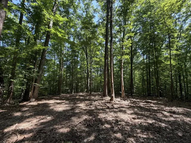 Lot 4a Parrish Rd, Louisa