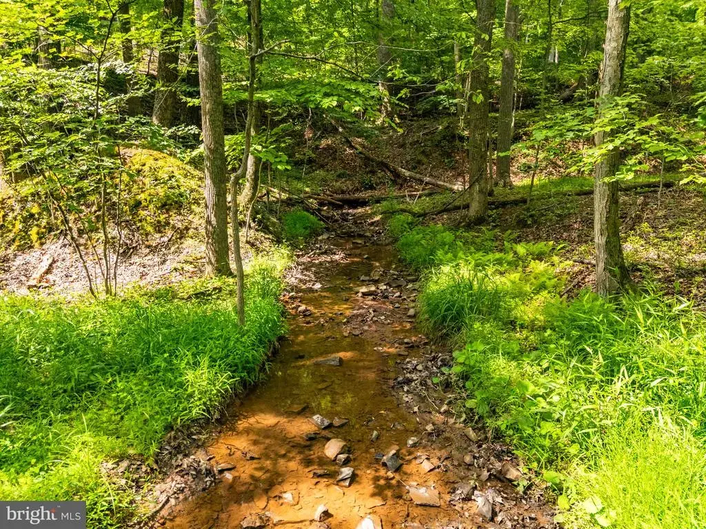 Lot 34 Audubon Rd, HEDGESVILLE