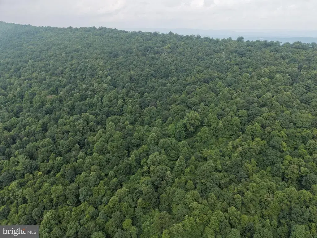 Tract 2: 30.99+/- Acres At 872 Fischer Rd, WARFORDSBURG