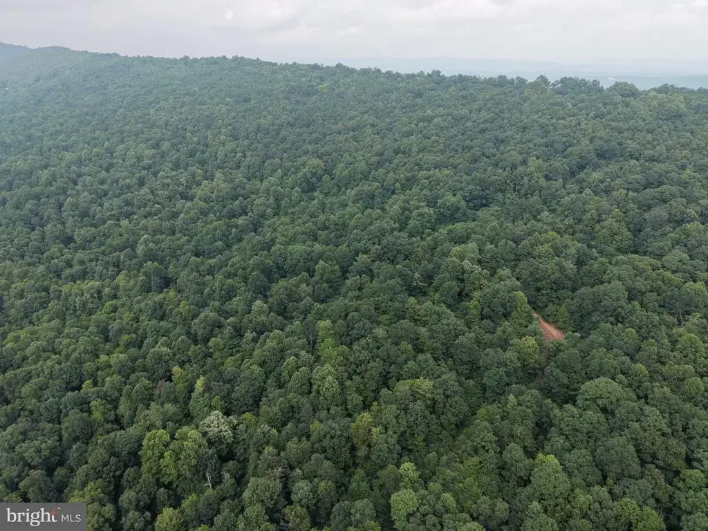 Tract 3: 22.32+/- Acres At 2668 Moss Rd, WARFORDSBURG