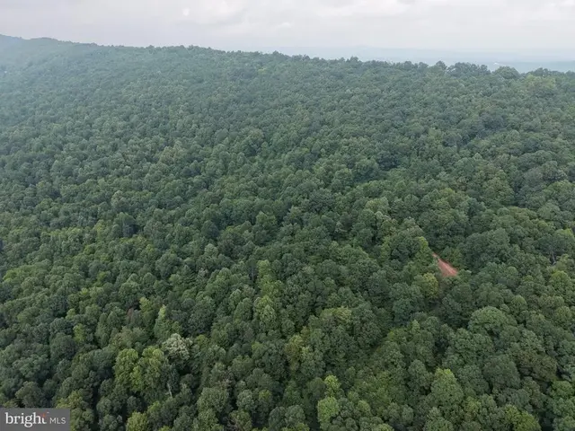 Tract 3: 22.32+/- Acres At 2668 Moss Rd, Warfordsburg