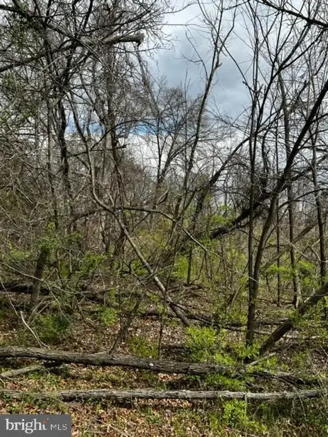 Hill Rd, Hyattsville