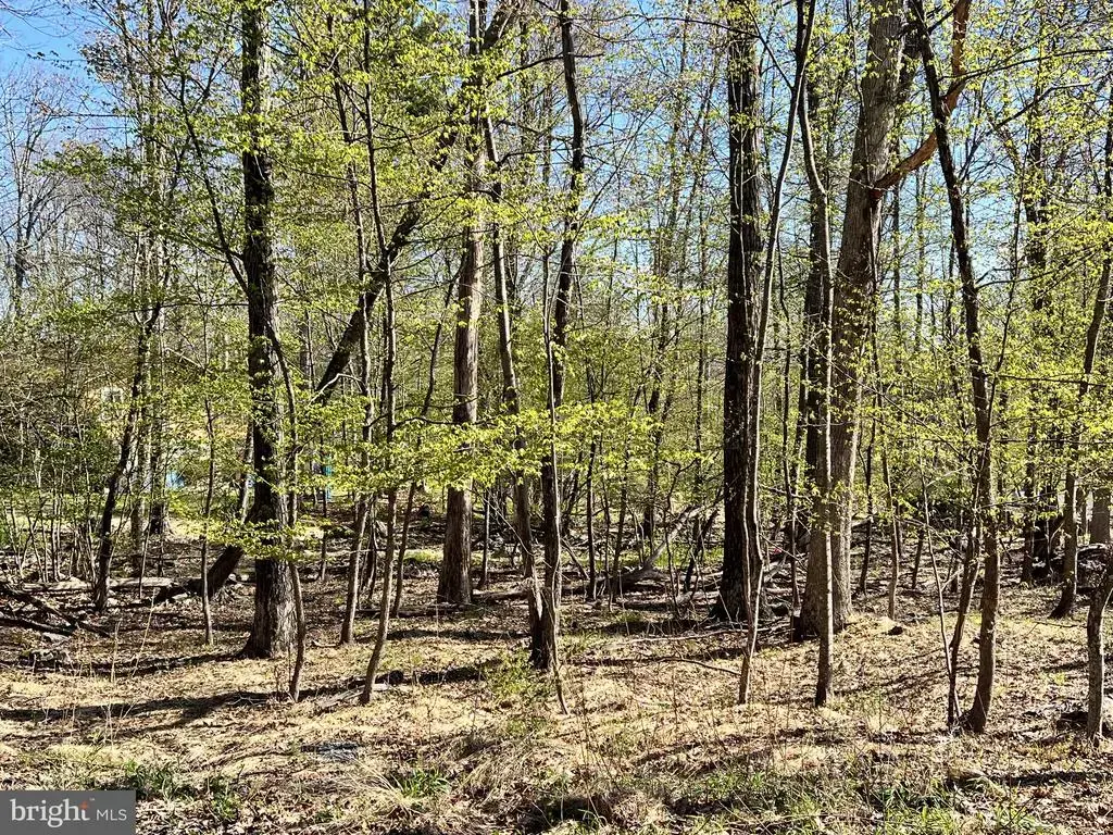 Chickadee Way, EAST STROUDSBURG