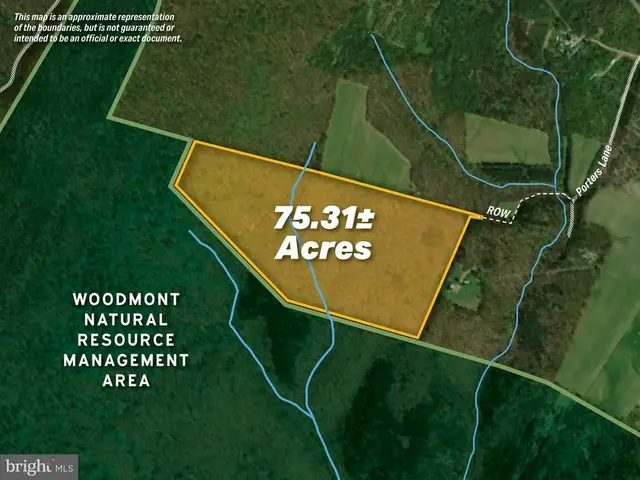75.31+/- Acres Off Of Porters Ln, Hancock