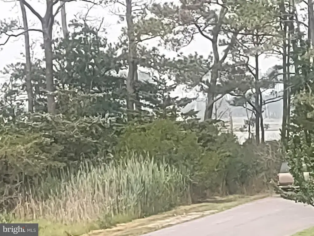 Salisbury Rd, OCEAN CITY