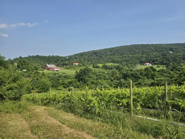 Red Barn Ln, Front Royal