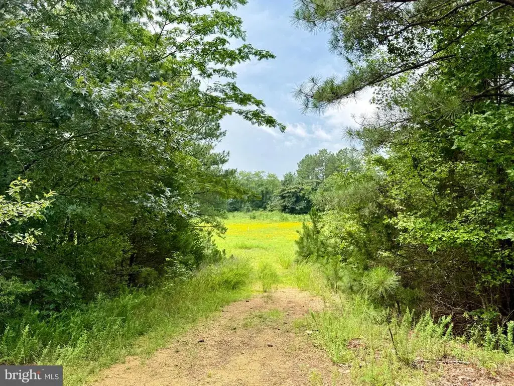 45291 Take It Easy Ranch Rd, CALLAWAY