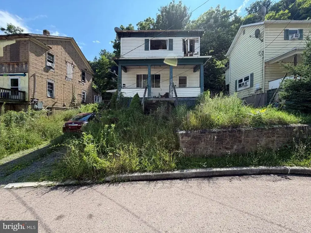 87 Douglas Ave, LONACONING