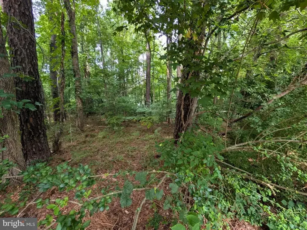Scott Cir, MECHANICSVILLE