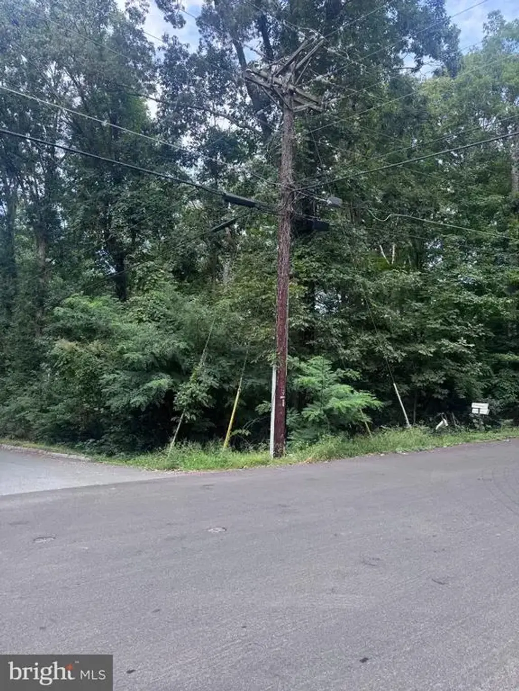 11653 Mesa Trl, LUSBY