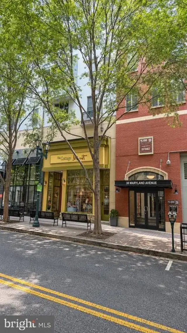 38 Maryland Ave #335, Rockville