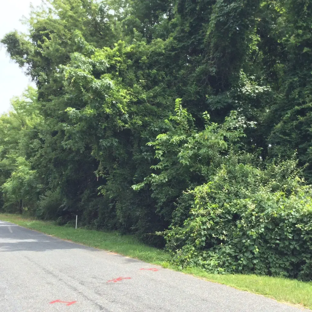 Baltimore Drive Dr, STEVENSVILLE