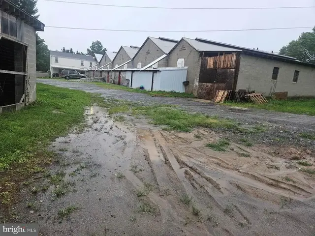 100 Old Limestone Rd, Avondale