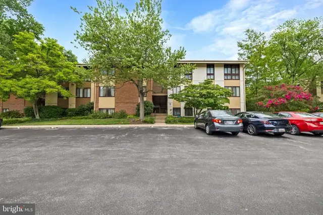 11 Hamill Rd #11e, Baltimore