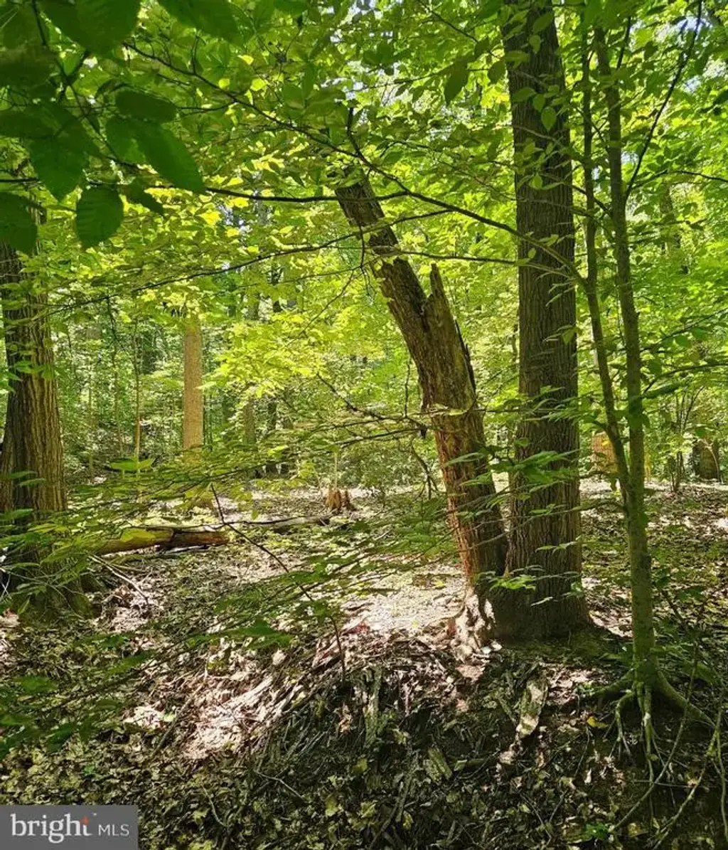 Herald Harbor Rd, CROWNSVILLE