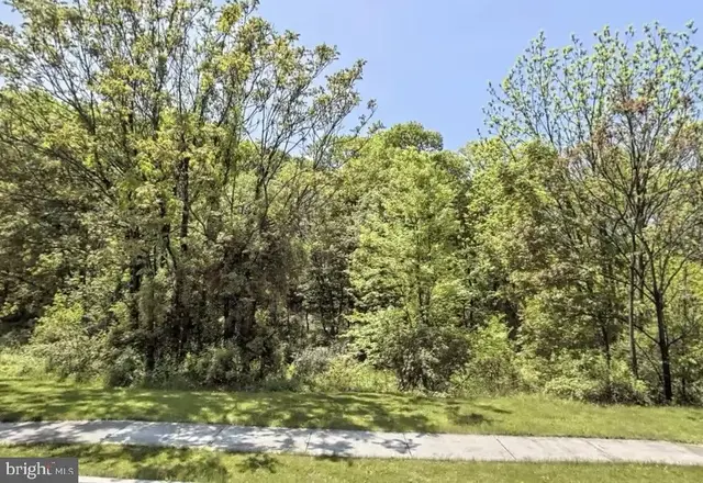 Litchfield Road, Harrisburg