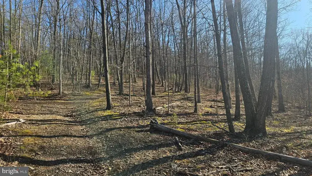 00 Piney Creek Rd, CLEARVILLE