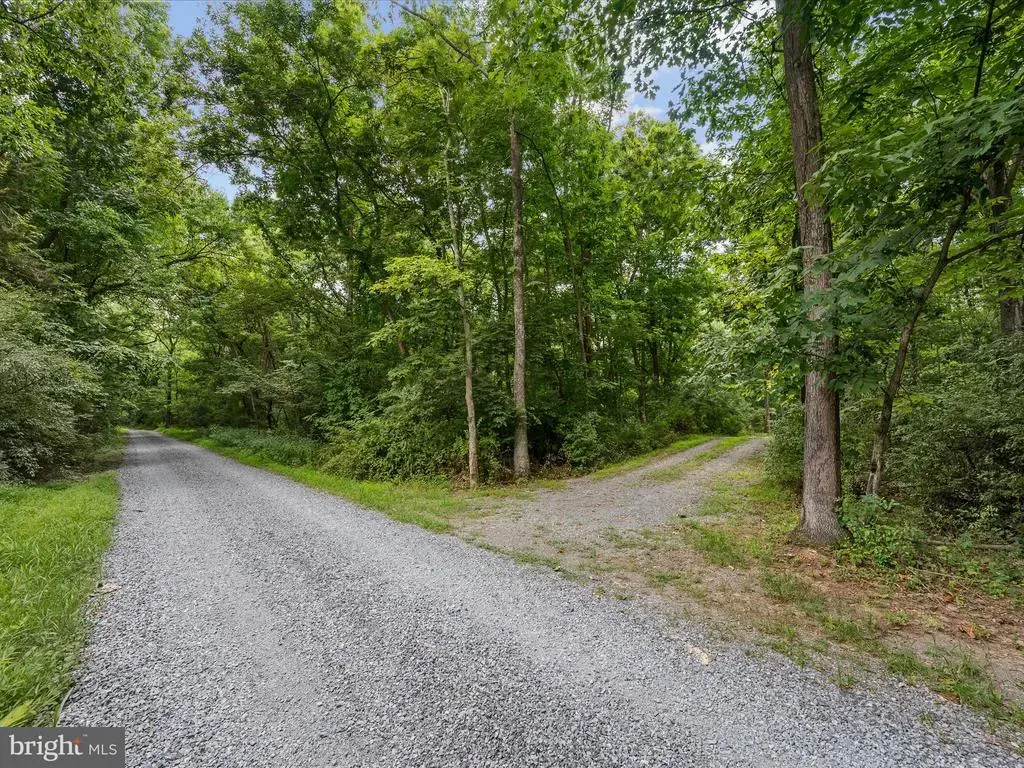 Lot 4 Rock Hall Farm Ln, BERRYVILLE