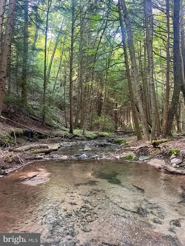 2600 Beech Creek Mountain Rd, Beech Creek