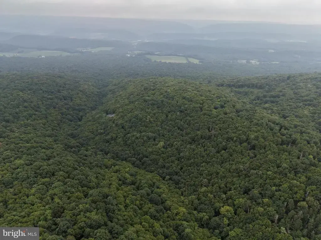 95+/- Acres Laurel Mountain Rd, THREE SPRINGS