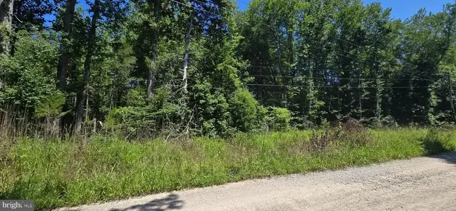 Lot 19 Meadowview Lane, Mineral