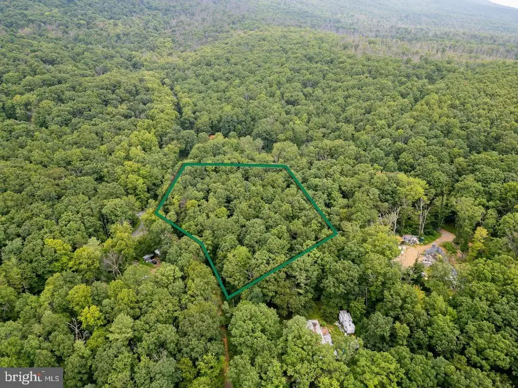 Tbd Dogwood Drive, NEW MARKET