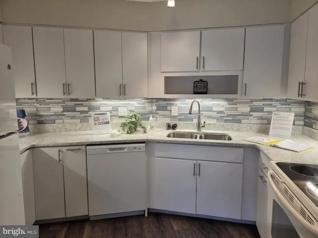 15107 Interlachen Dr #2-517, SILVER SPRING