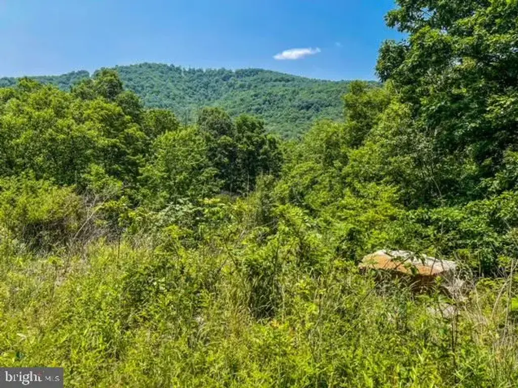 25413 Sisler Hill Rd, WESTERNPORT