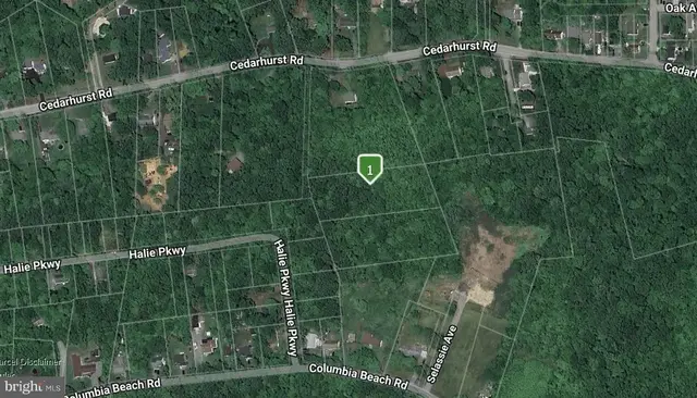 1461 Cedarhurst Rd, Shady Side