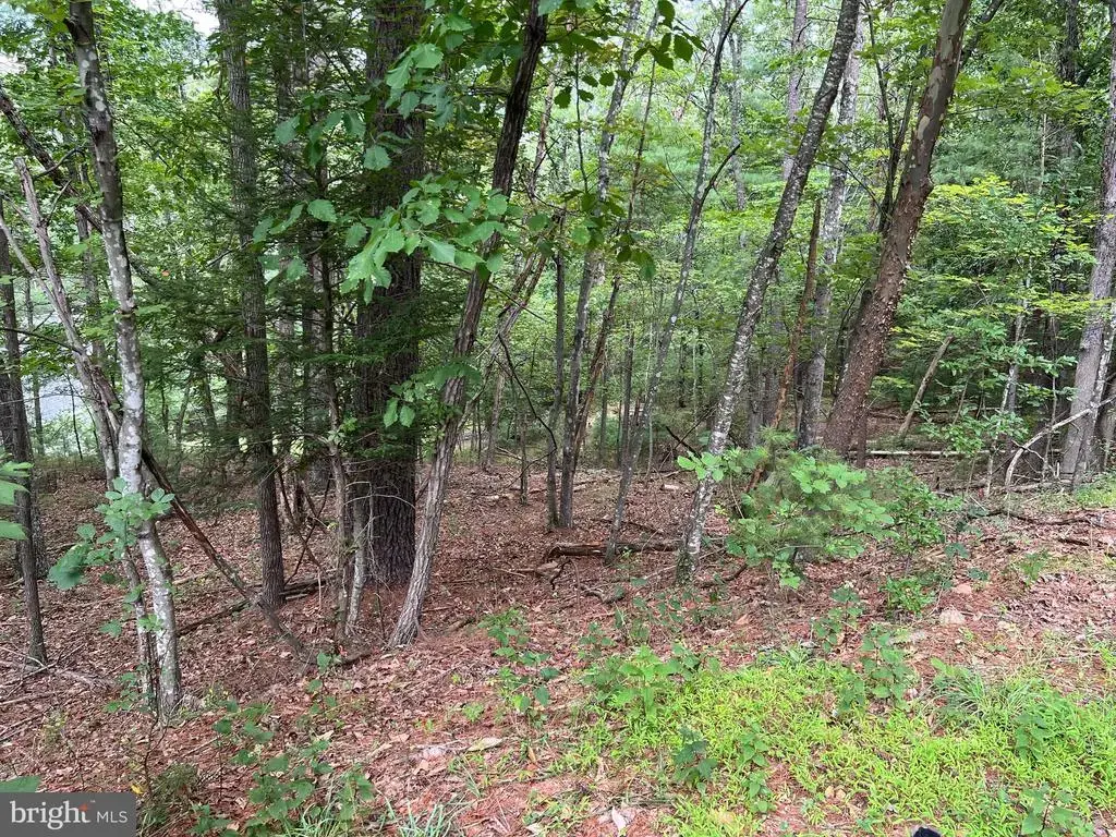 0 Fawn Dr, BASYE