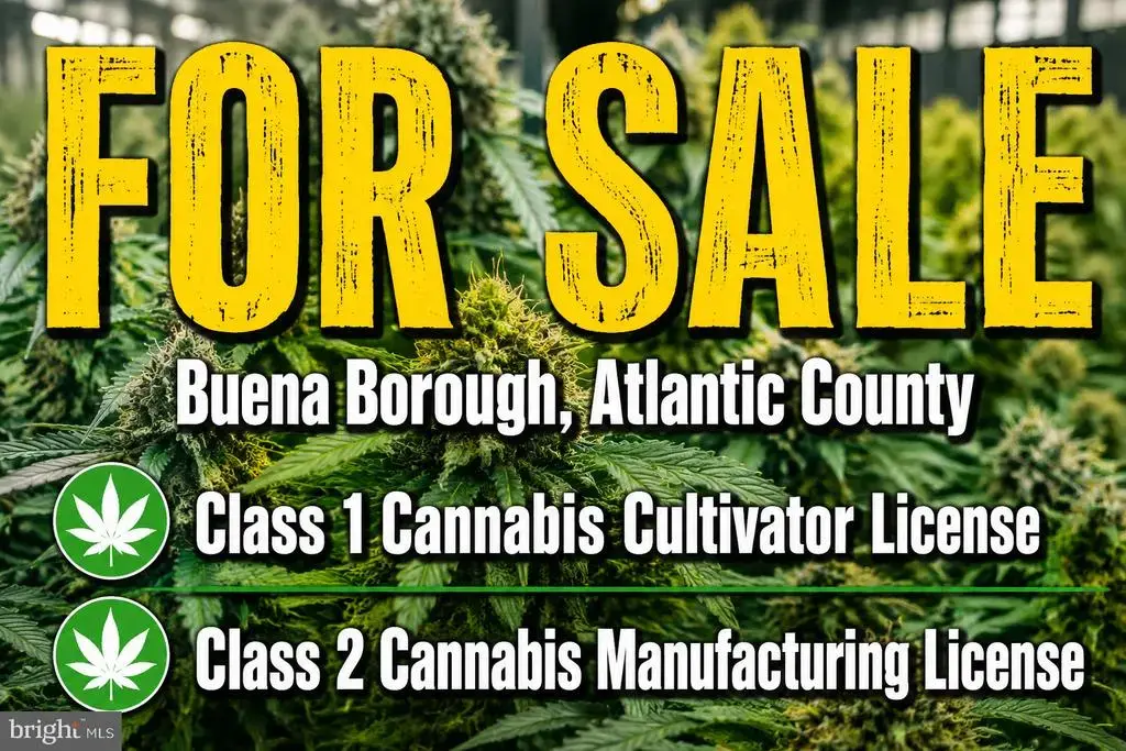 Cannabis, MINOTOLA