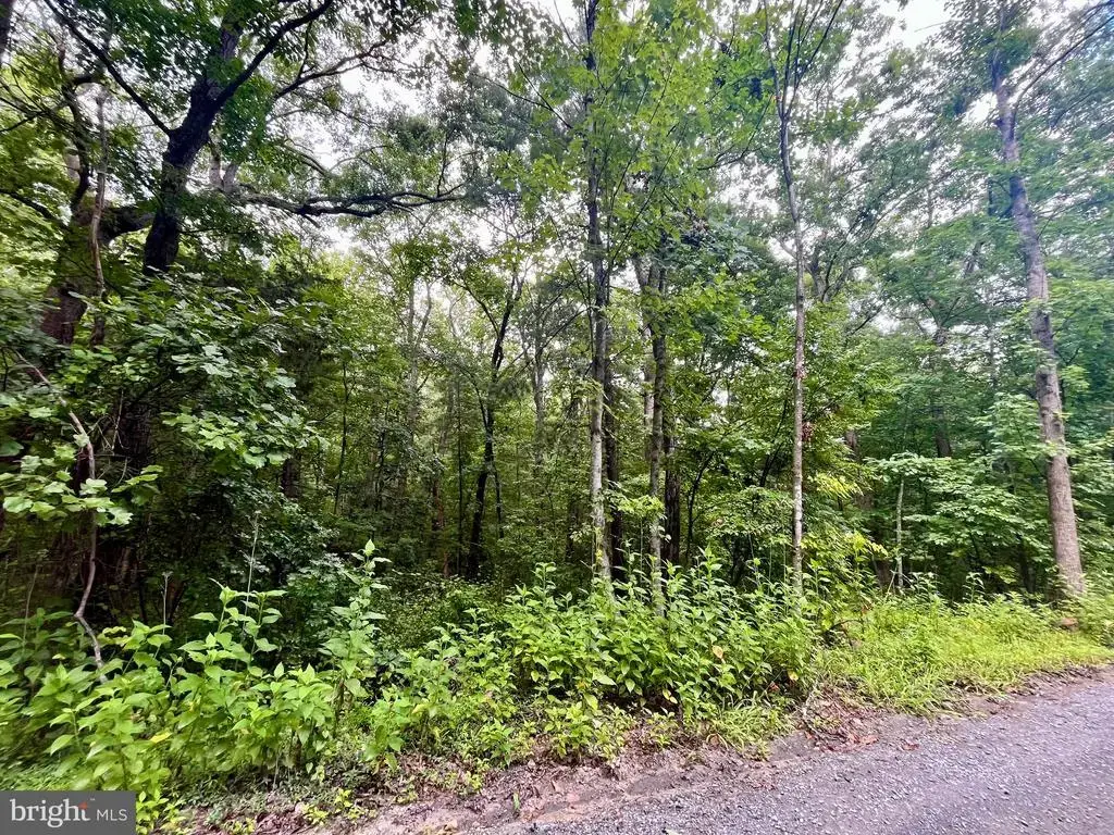 Forest Drive, LURAY