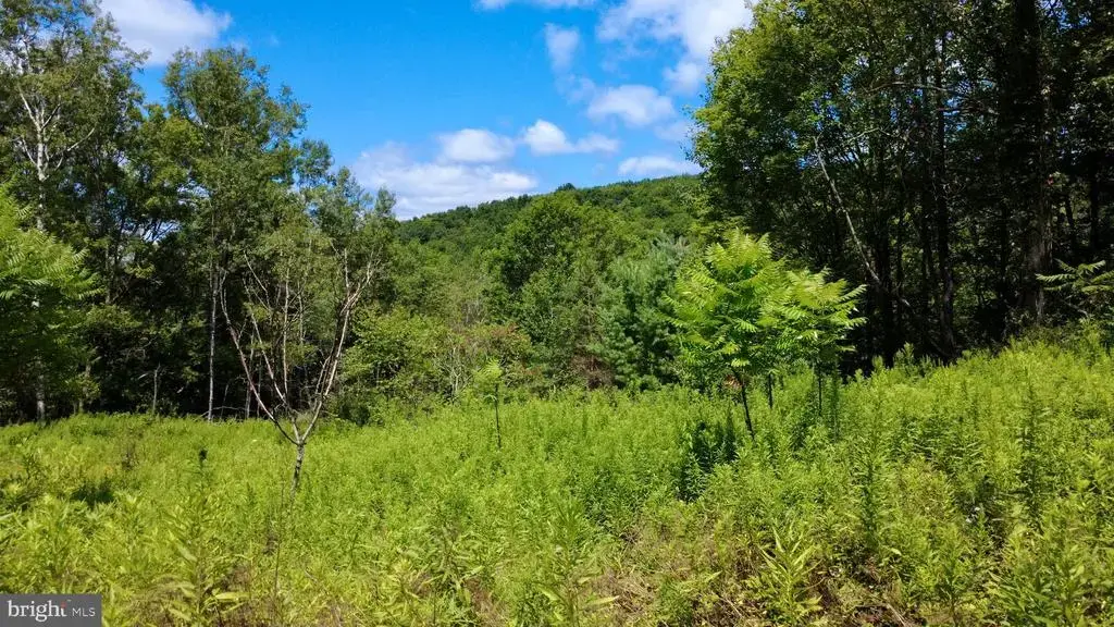 0 Pancake Rd, CLARENCE