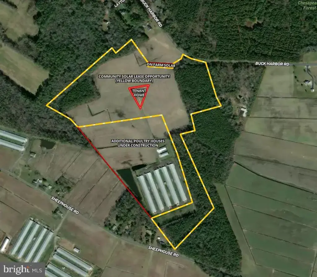 1725 Buck Harbor Rd, POCOMOKE CITY