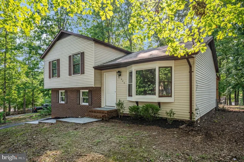 424 Albany St, FREDERICKSBURG