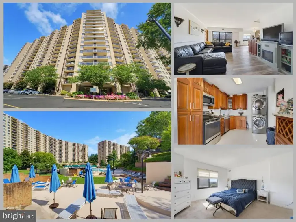 203 Yoakum Pkwy #910, ALEXANDRIA