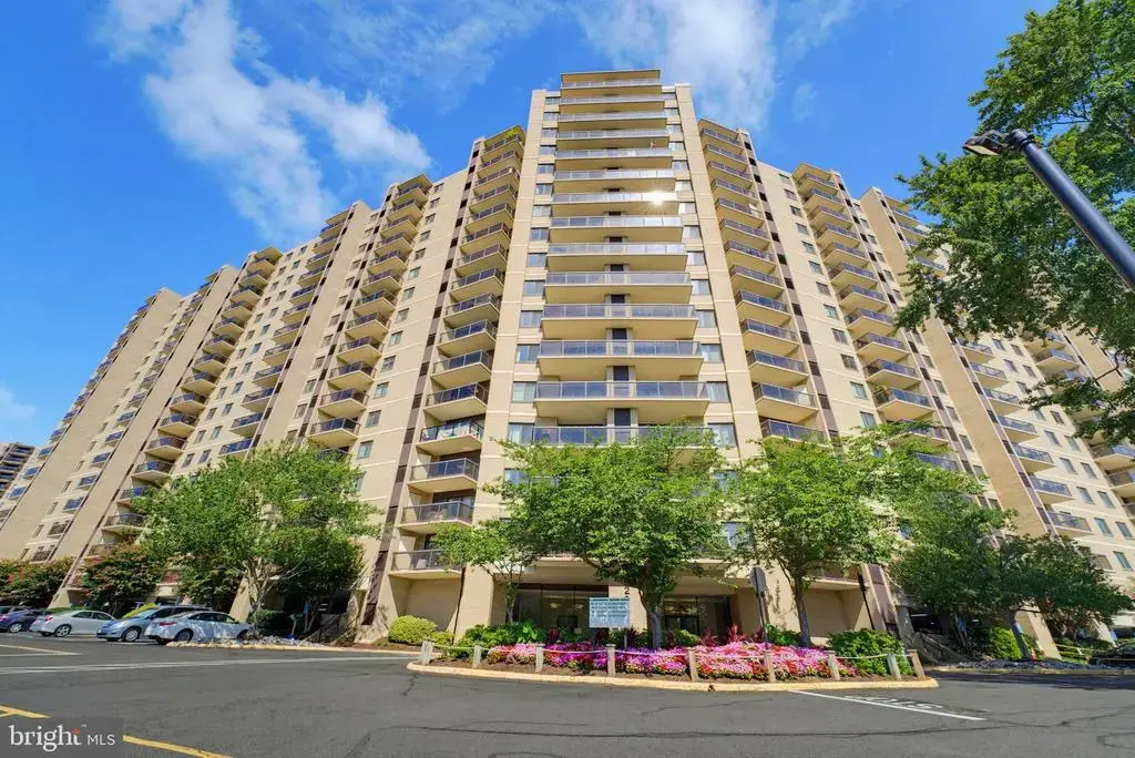 203 Yoakum Pkwy #910, ALEXANDRIA