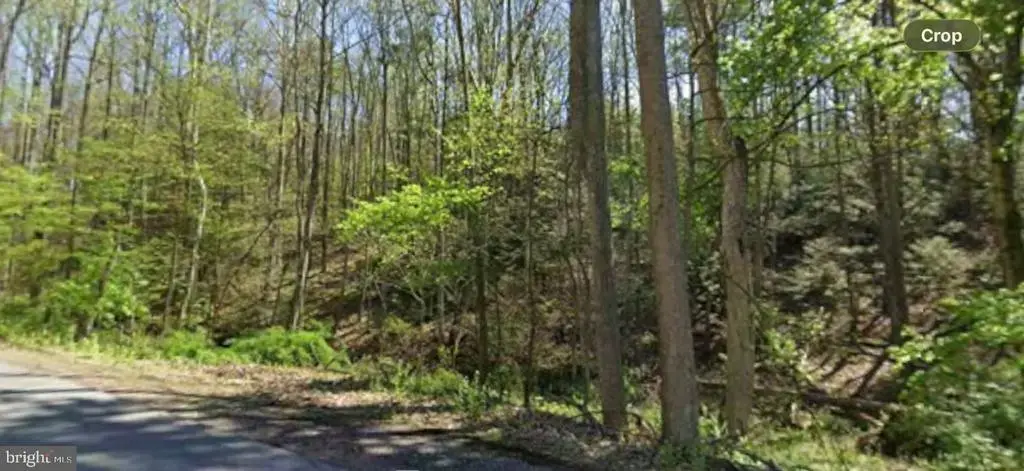 0 Tallman Hollow Rd, MONTOURSVILLE