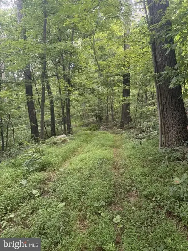 Sundown Rd, Gore