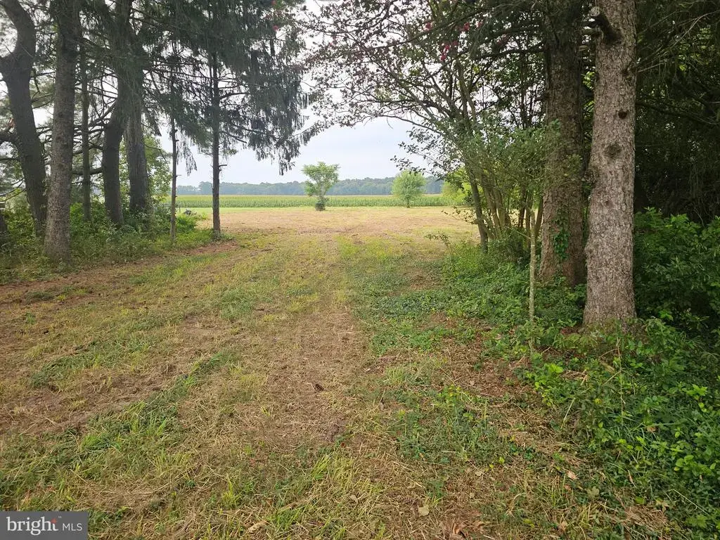 13096 Russell Rd, BRIDGEVILLE