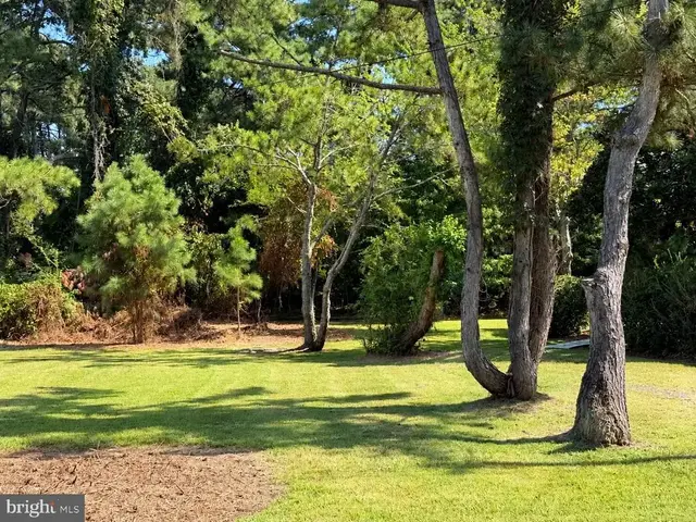 Part Of Lot 110 Tarr Ln, Chincoteague