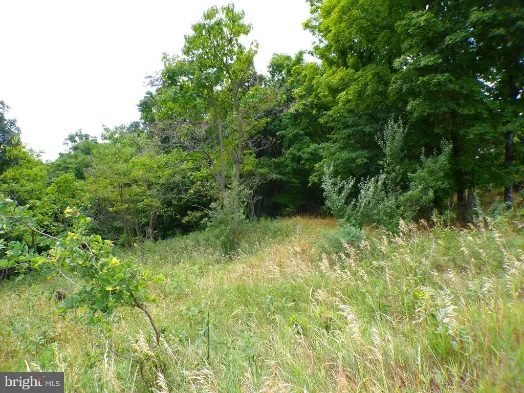 10.1 Ac Waxler Road, KEYSER