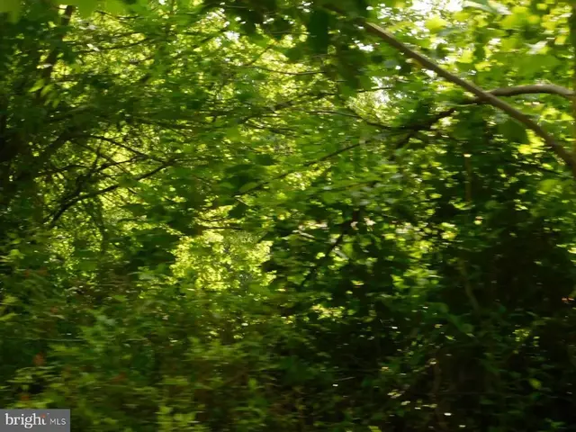 Pinewood Rd #lot #9, Earleville