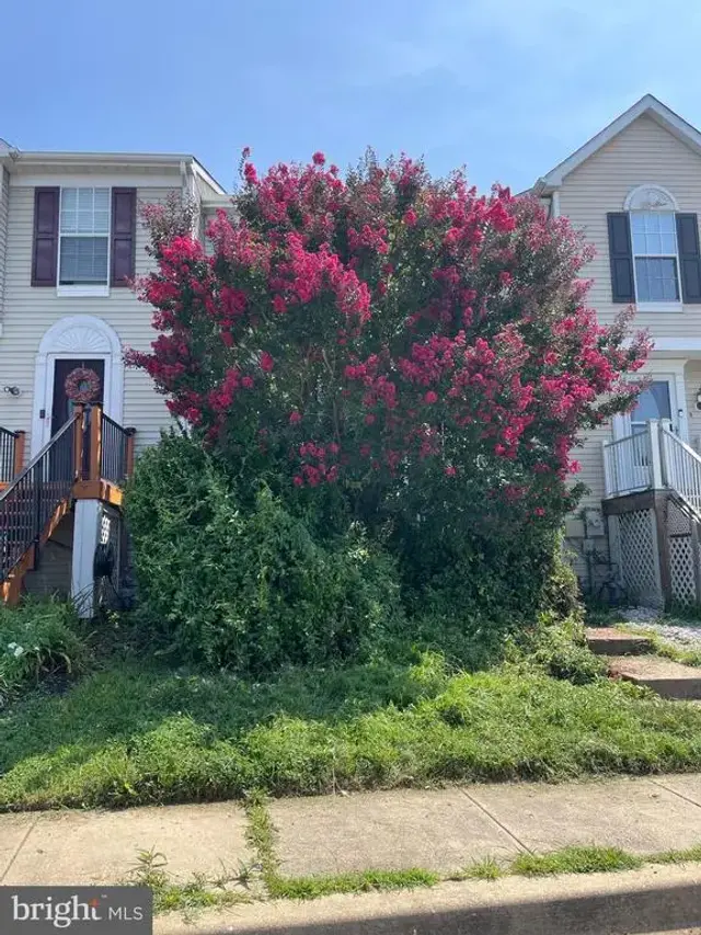 10 N Merriment Dr, Newark