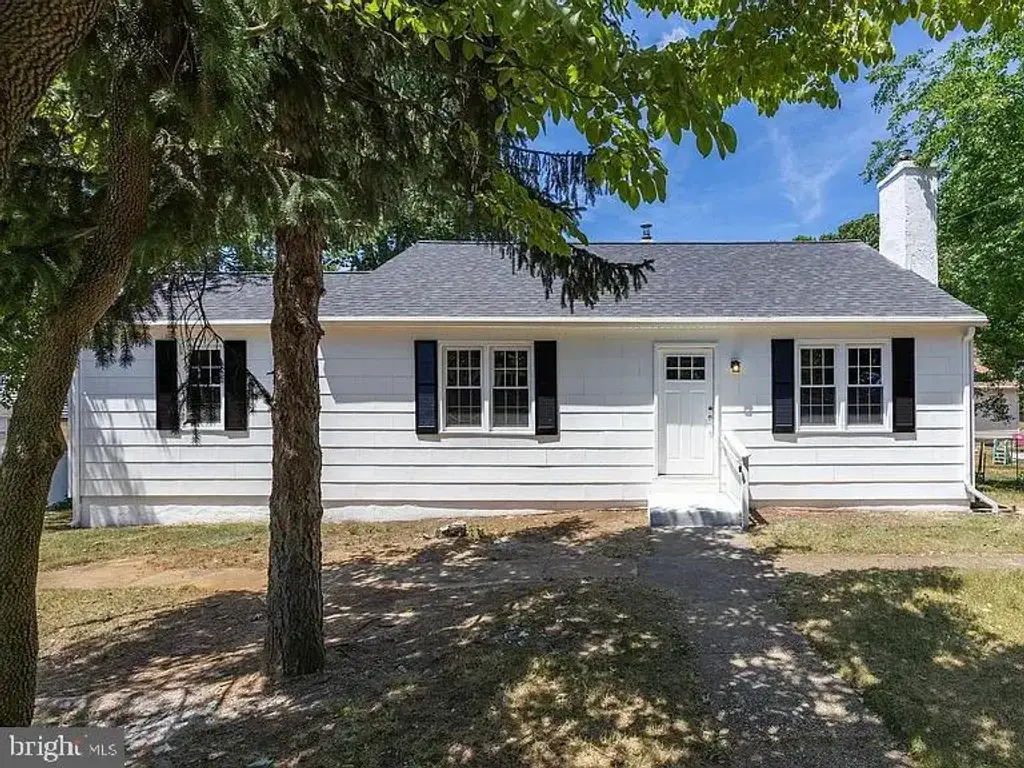 217 Chestnut St, RUNNEMEDE