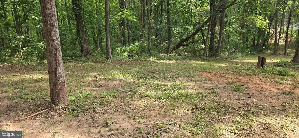 Lot 3 Beahm Town, CULPEPER